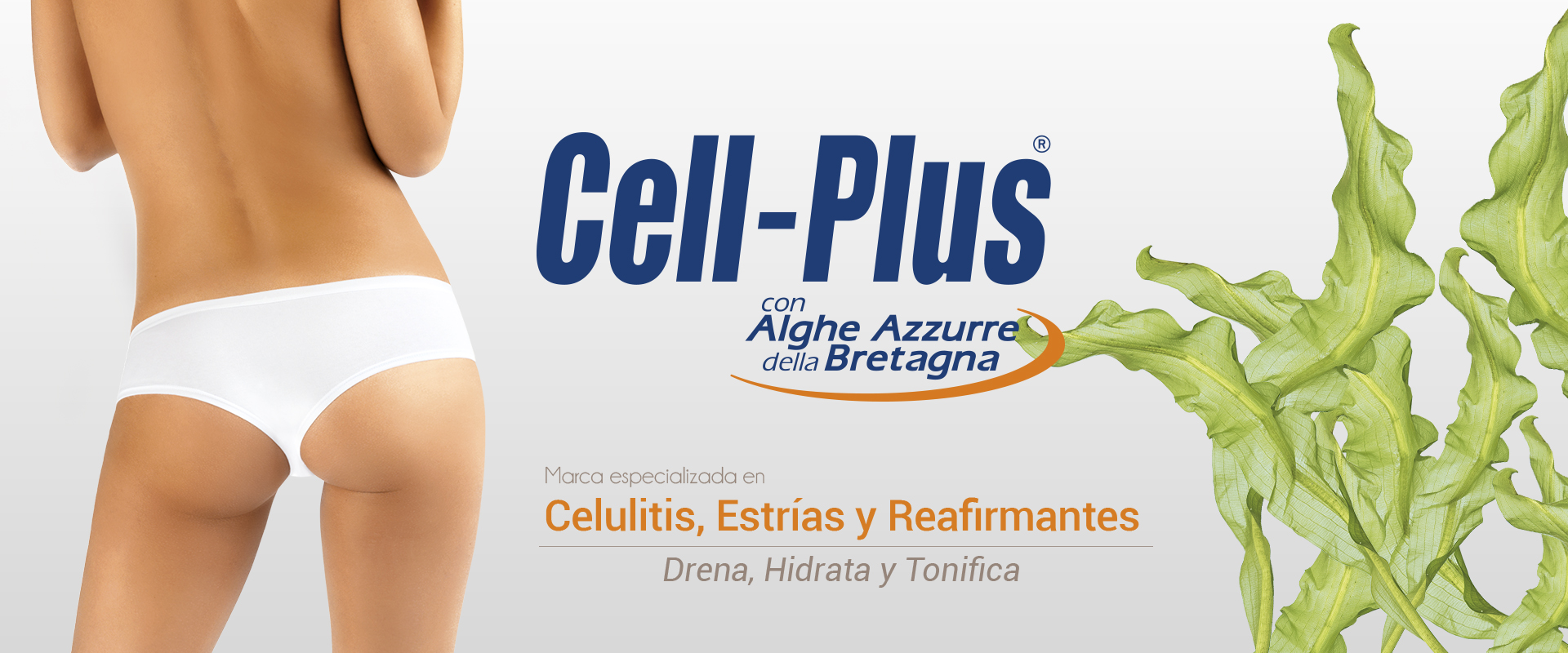 Cell-Plus